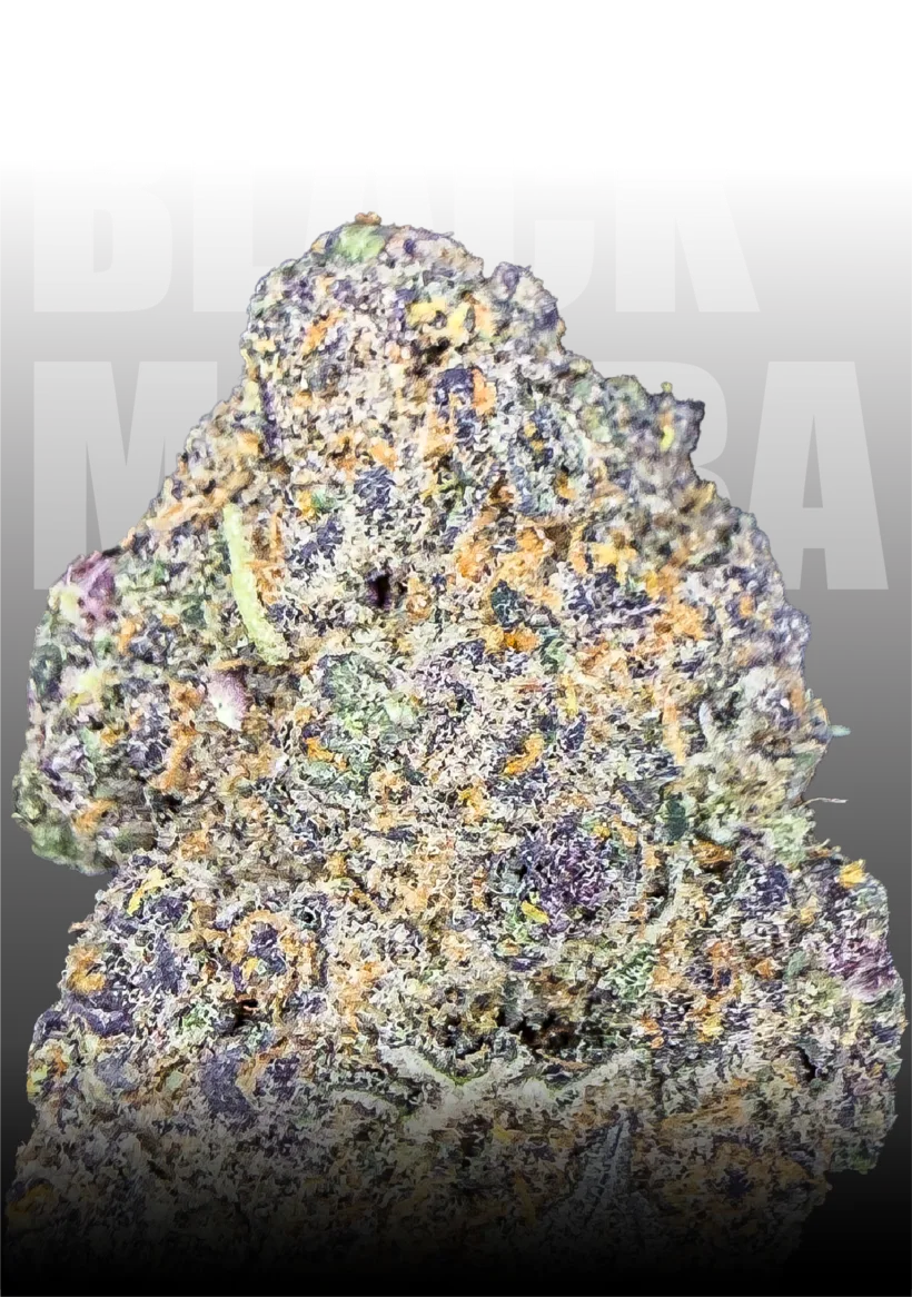 Black Mamba medical cannabis flower