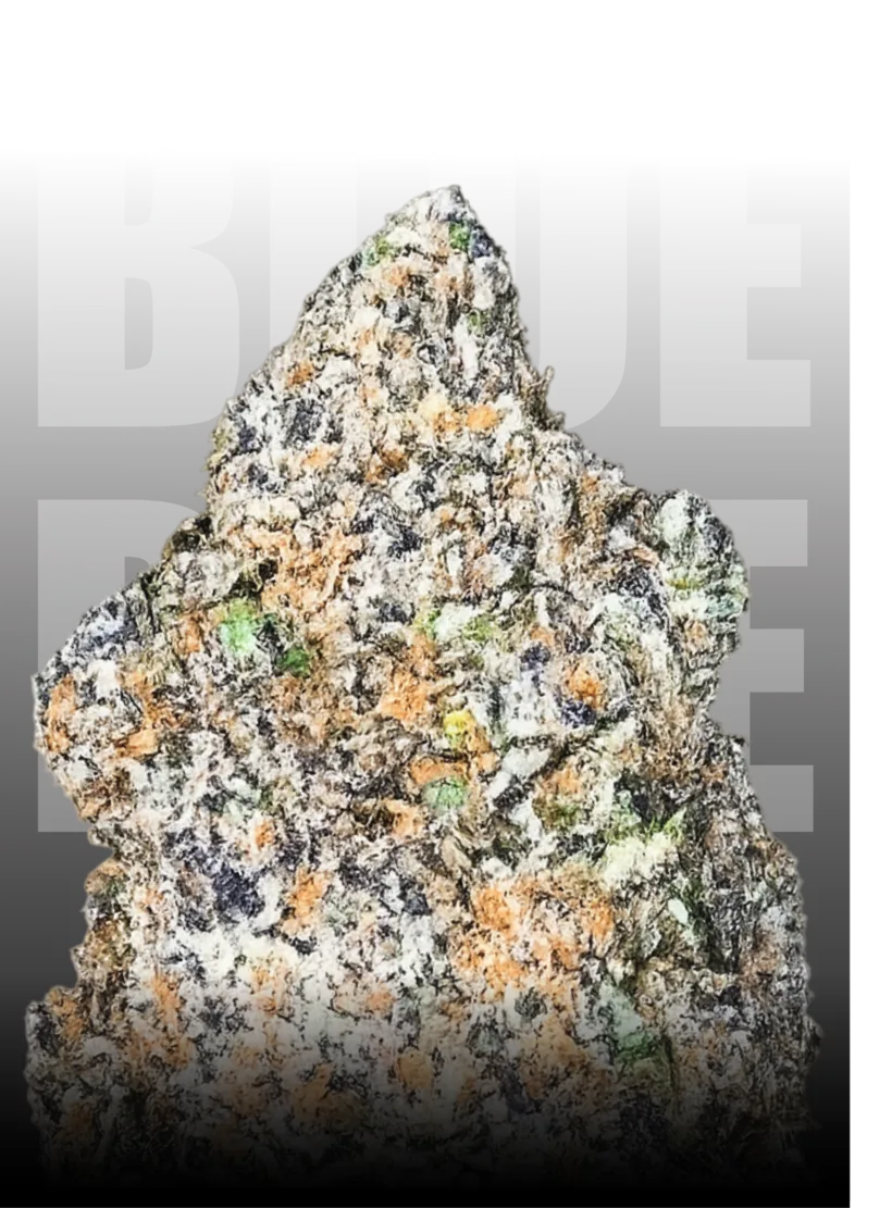Blue Pave medical cannabis flower