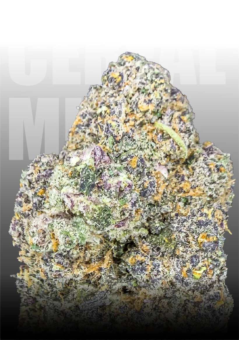 Cereal Milk medical cannabis flower