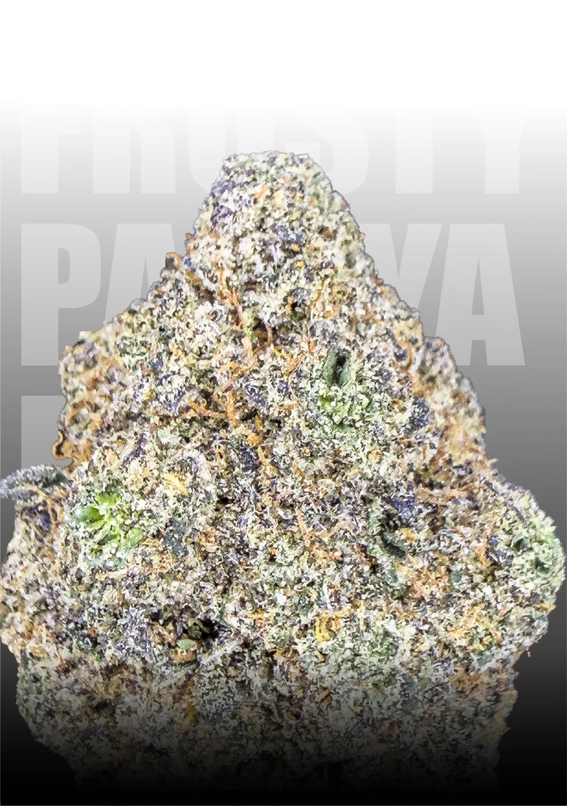 Frosty Papaya Pie medical cannabis flower