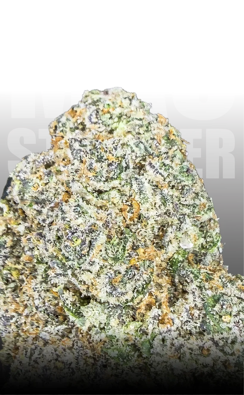 Mac Stomper medical cannabis flower