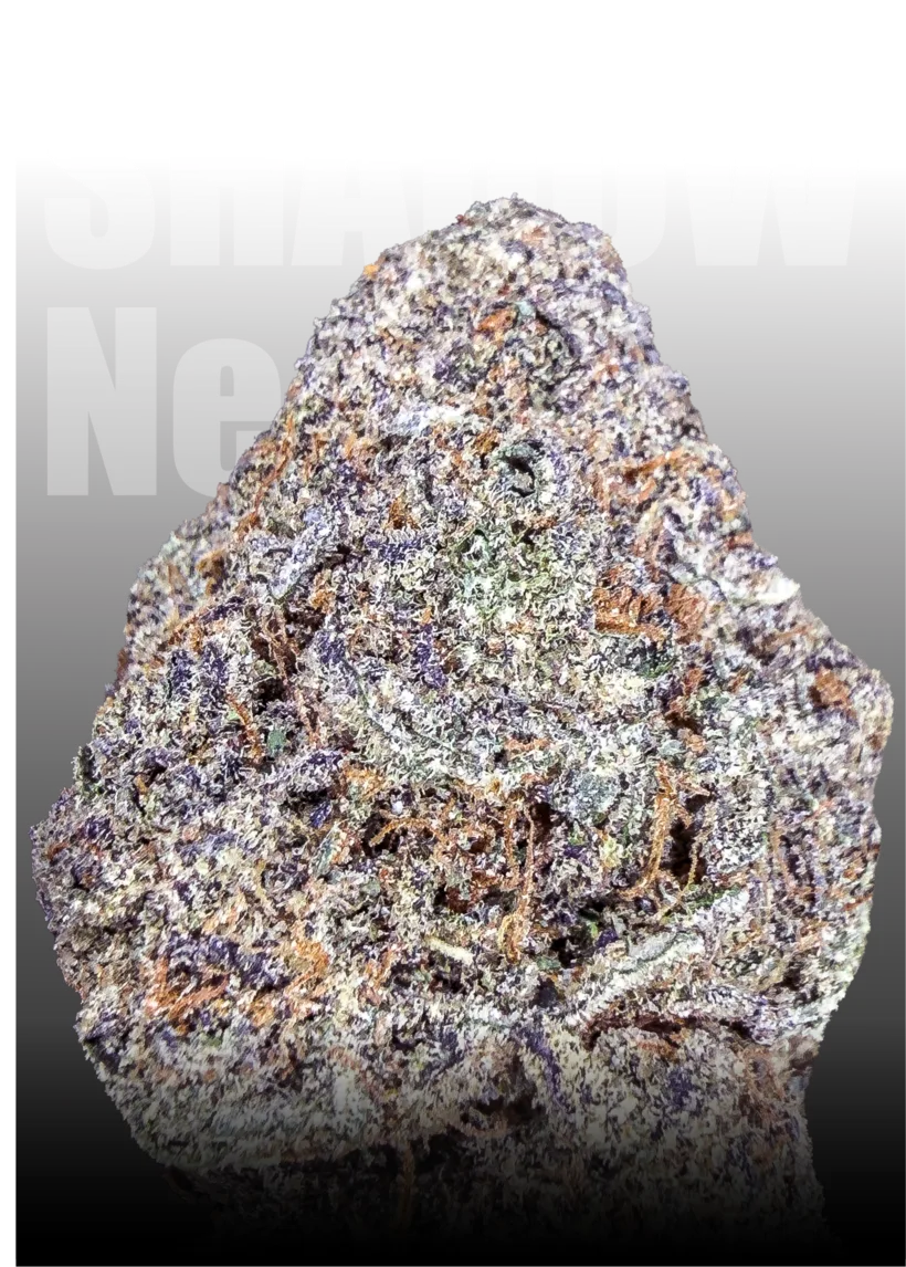 Shadow Neon medical cannabis flower